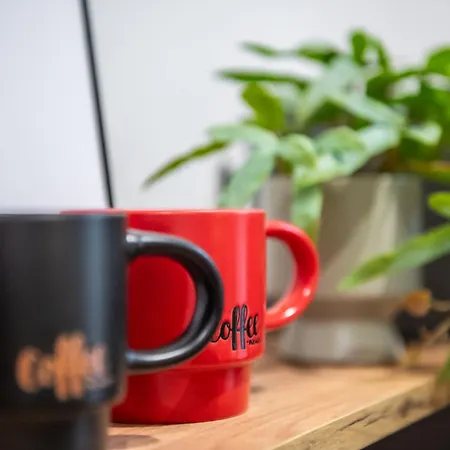 Apartament łokietka *