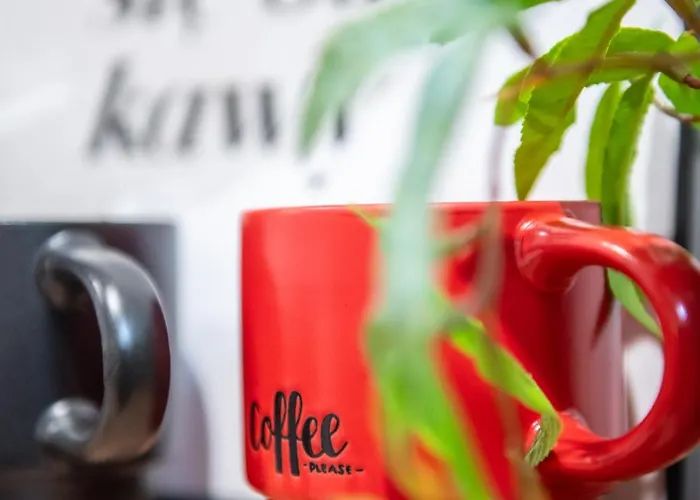 Διαμέρισμα Lokietka