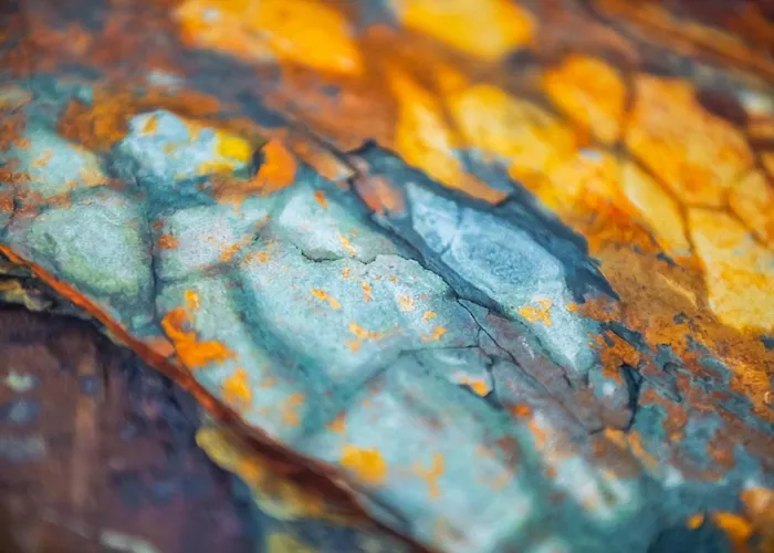 Lokietka * Γκλίβιτσε