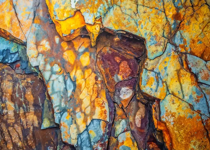 Lokietka Διαμέρισμα *