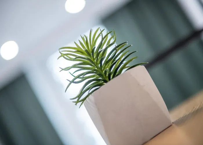 Lokietka Γκλίβιτσε