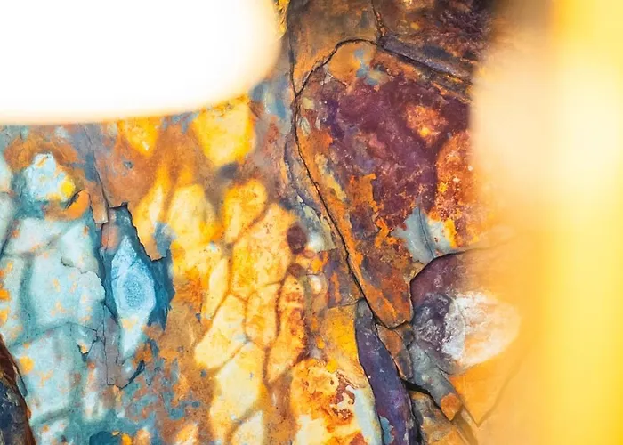 Lokietka Διαμέρισμα