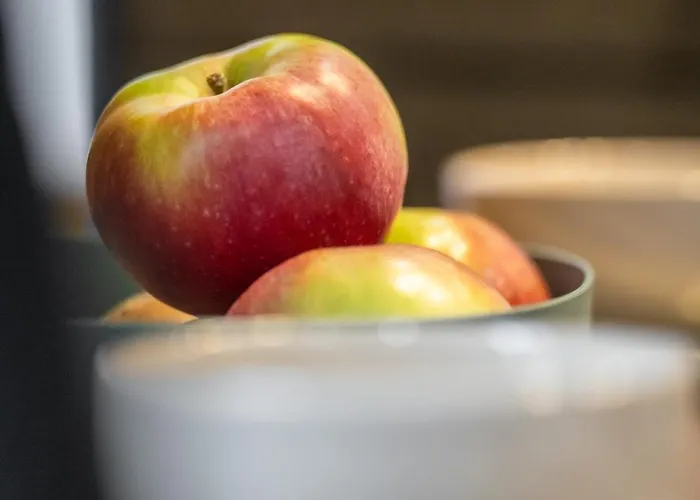 Apartment Lokietka Gliwice